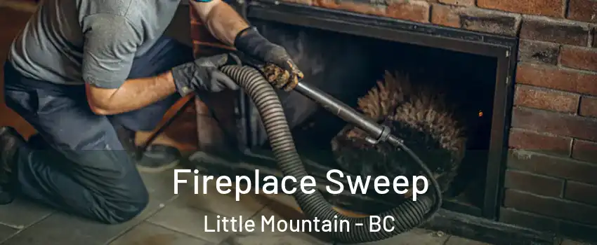 Fireplace Sweep Little Mountain - BC