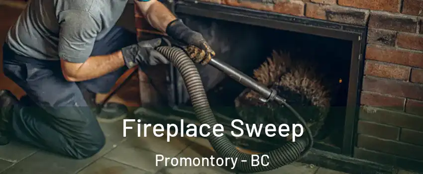 Fireplace Sweep Promontory - BC