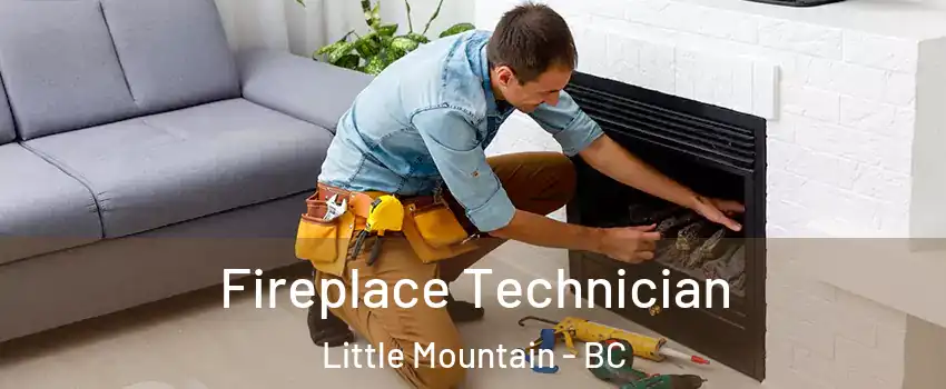 Fireplace Technician Little Mountain - BC