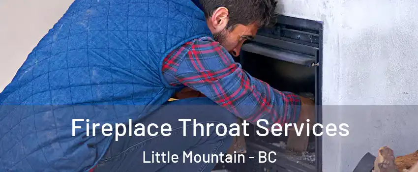 Fireplace Throat Services Little Mountain - BC