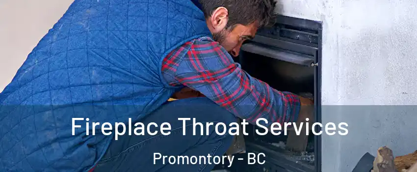  Fireplace Throat Services Promontory - BC