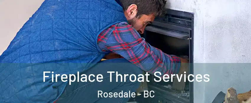 Fireplace Throat Services Rosedale - BC