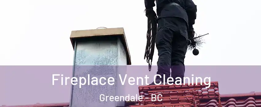 Fireplace Vent Cleaning Greendale - BC