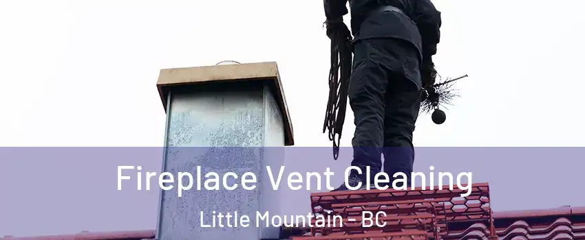 Fireplace Vent Cleaning Little Mountain - BC