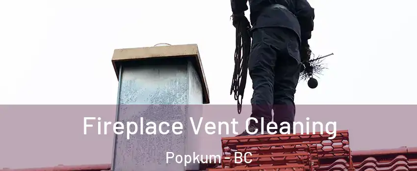 Fireplace Vent Cleaning Popkum - BC