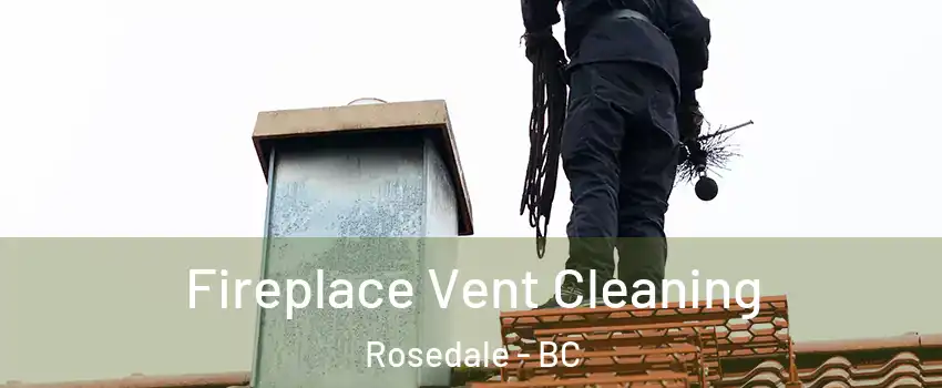 Fireplace Vent Cleaning Rosedale - BC