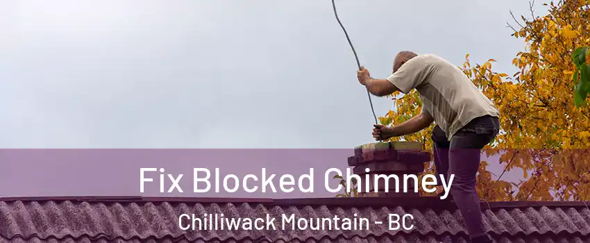 Fix Blocked Chimney Chilliwack Mountain - BC