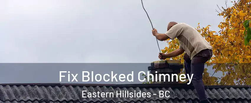 Fix Blocked Chimney Eastern Hillsides - BC