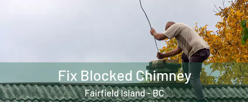 Fix Blocked Chimney Fairfield Island - BC