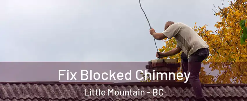 Fix Blocked Chimney Little Mountain - BC