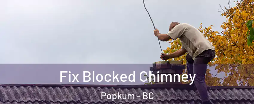 Fix Blocked Chimney Popkum - BC