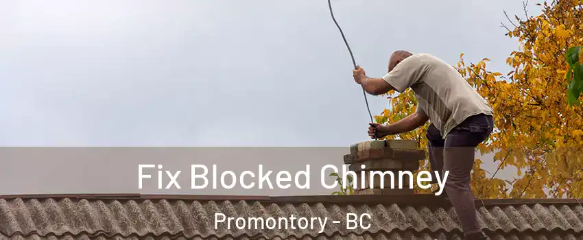 Fix Blocked Chimney Promontory - BC