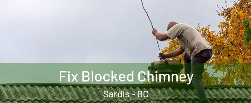 Fix Blocked Chimney Sardis - BC