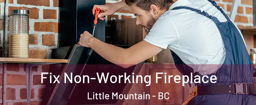 Fix Non-Working Fireplace Little Mountain - BC