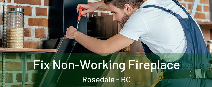Fix Non-Working Fireplace Rosedale - BC