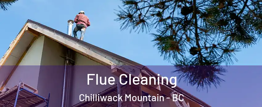 Flue Cleaning Chilliwack Mountain - BC