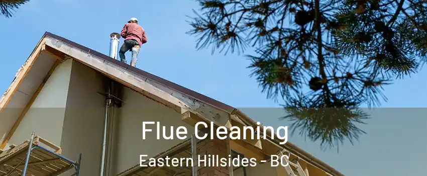 Flue Cleaning Eastern Hillsides - BC
