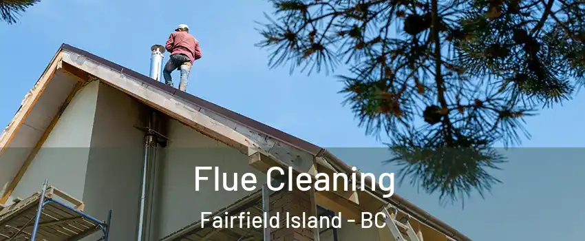 Flue Cleaning Fairfield Island - BC