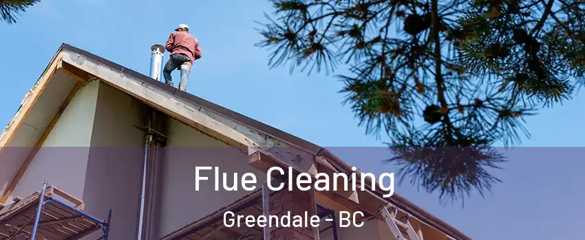 Flue Cleaning Greendale - BC