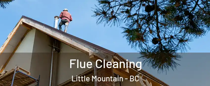 Flue Cleaning Little Mountain - BC