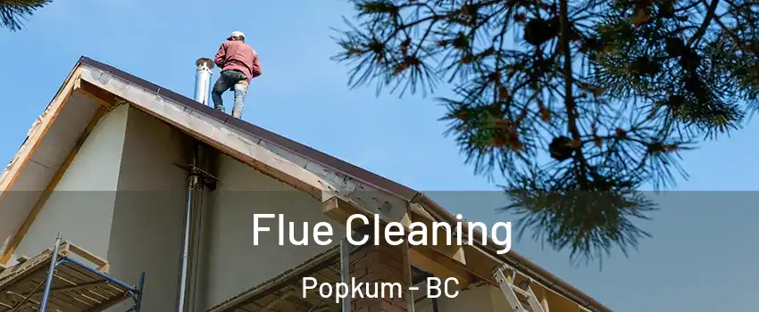 Flue Cleaning Popkum - BC