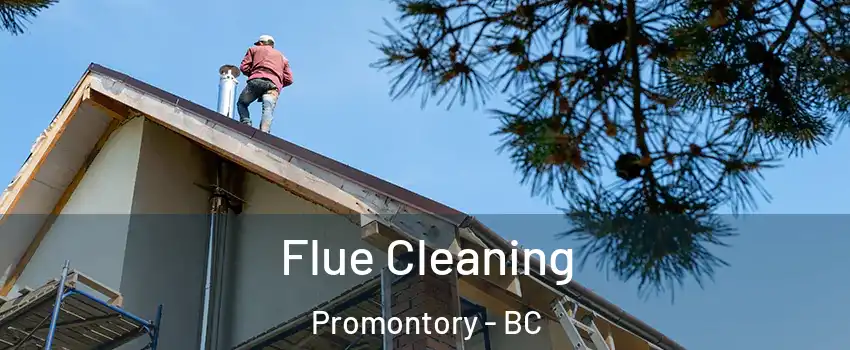 Flue Cleaning Promontory - BC