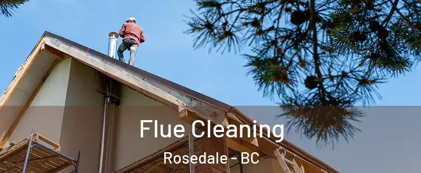 Flue Cleaning Rosedale - BC