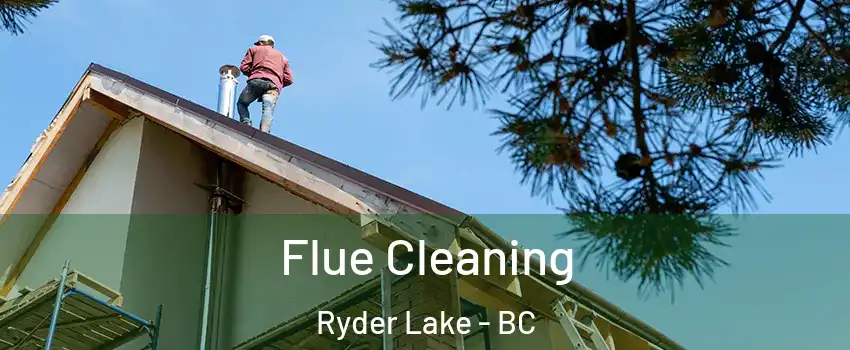 Flue Cleaning Ryder Lake - BC