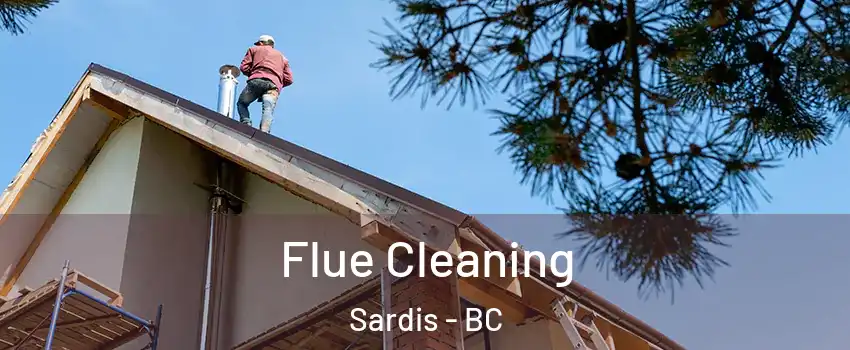 Flue Cleaning Sardis - BC