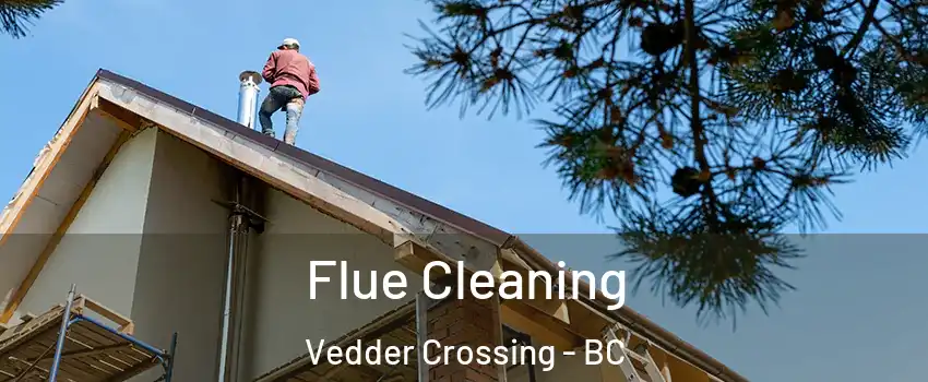 Flue Cleaning Vedder Crossing - BC