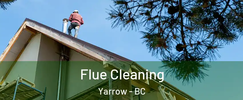 Flue Cleaning Yarrow - BC