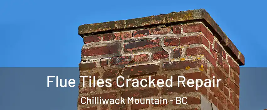 Flue Tiles Cracked Repair Chilliwack Mountain - BC