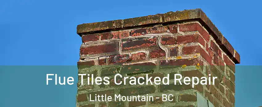 Flue Tiles Cracked Repair Little Mountain - BC