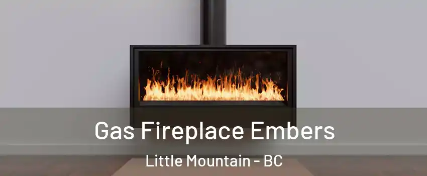 Gas Fireplace Embers Little Mountain - BC