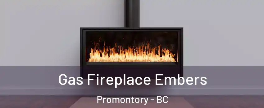  Gas Fireplace Embers Promontory - BC