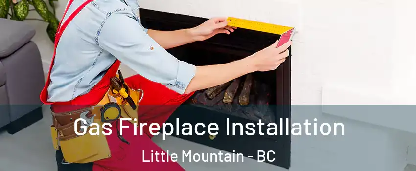 Gas Fireplace Installation Little Mountain - BC