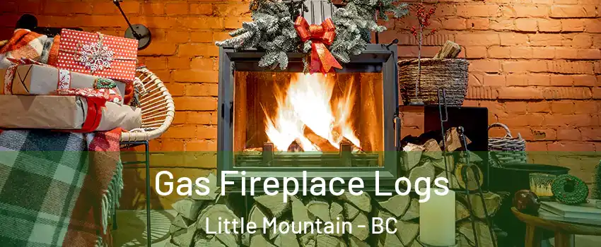 Gas Fireplace Logs Little Mountain - BC