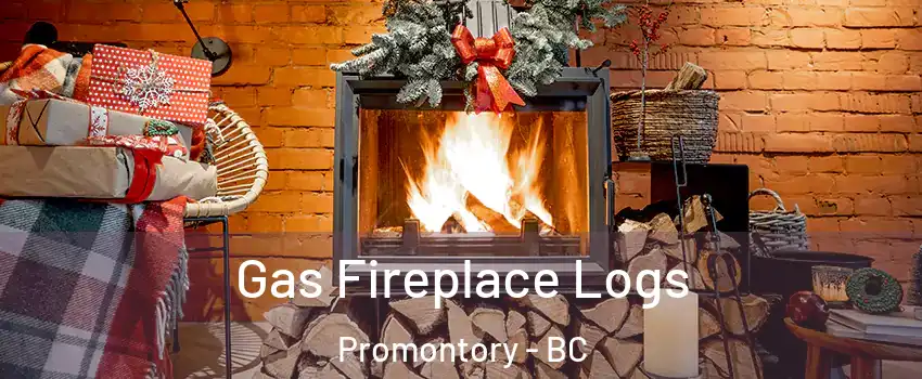 Gas Fireplace Logs Promontory - BC