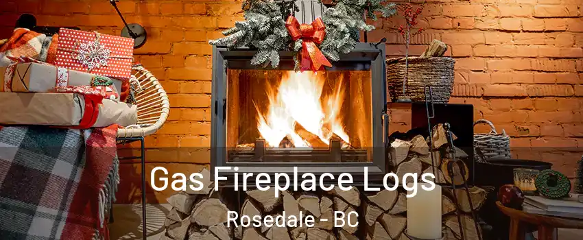 Gas Fireplace Logs Rosedale - BC