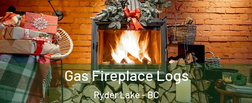 Gas Fireplace Logs Ryder Lake - BC