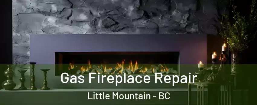 Gas Fireplace Repair Little Mountain - BC