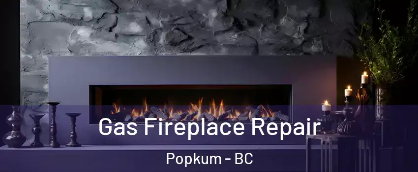 Gas Fireplace Repair Popkum - BC