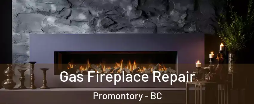 Gas Fireplace Repair Promontory - BC
