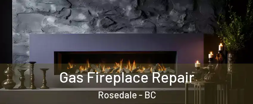 Gas Fireplace Repair Rosedale - BC