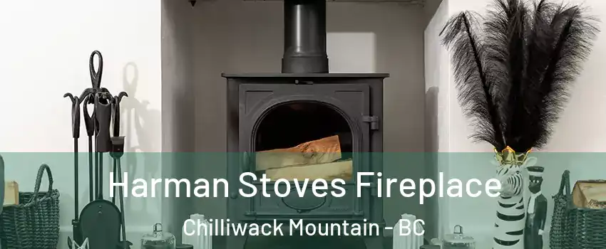 Harman Stoves Fireplace Chilliwack Mountain - BC