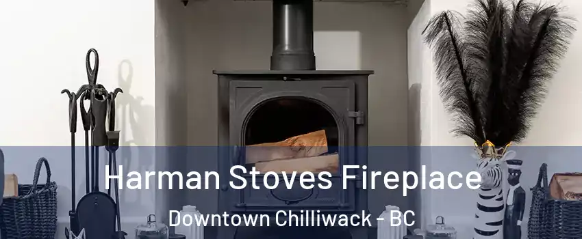Harman Stoves Fireplace Downtown Chilliwack - BC