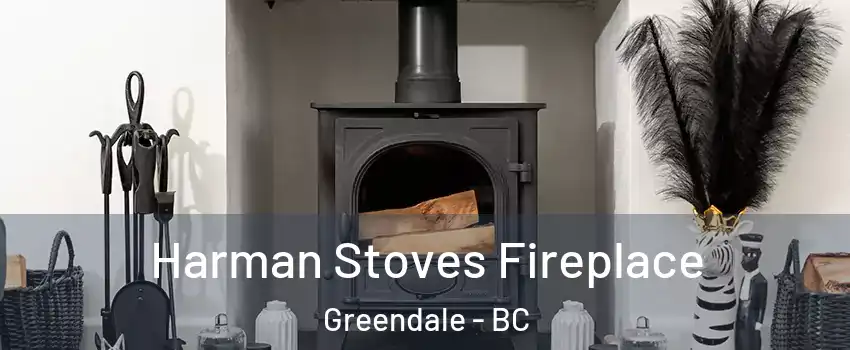 Harman Stoves Fireplace Greendale - BC