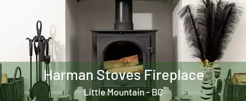 Harman Stoves Fireplace Little Mountain - BC