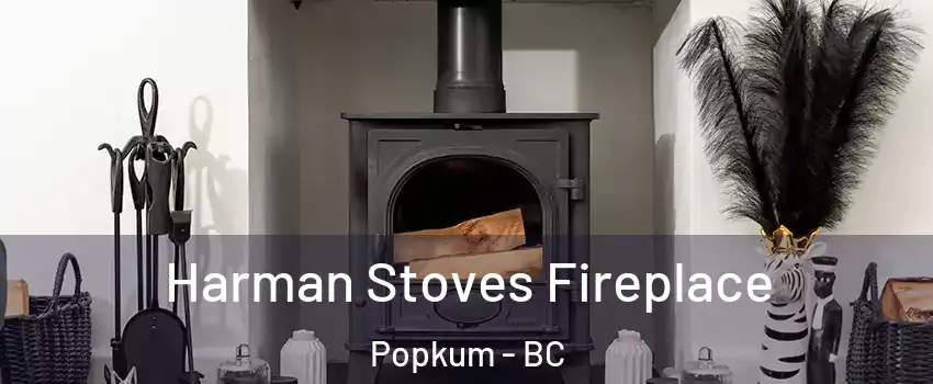Harman Stoves Fireplace Popkum - BC