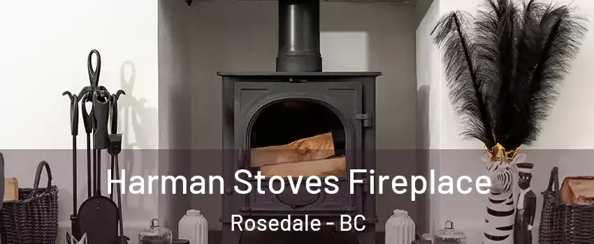 Harman Stoves Fireplace Rosedale - BC